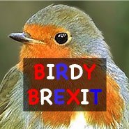 Birdy Brexit(@BirdyBrexit) 's Twitter Profile Photo