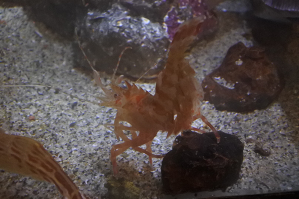 aldbl1lymtk's profile picture. 水樹奈々と釣りとゴルフ