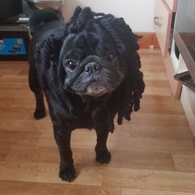 Lucyloc78646303's profile picture. non entity