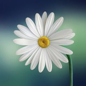 maiahi8's profile picture. 