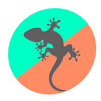 Go Gecko Web Design (@ggeckowebdesign) 's Twitter Profile