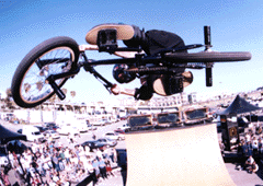 i love bmx and cocain