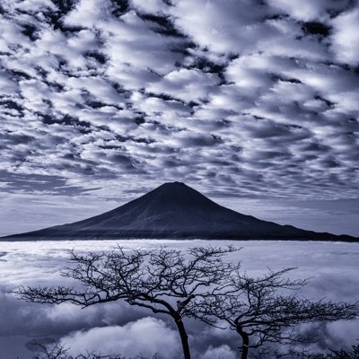 富士山写真家 @takashi_artfuji  ◎National Geographic:Traveler表紙、写真集掲載 ◎TV東京「新 美の巨人たち」、NHK「美の壷」他出演  ◎各種国際フォトコン受賞 ◎美術館・ギャラリー写真展 ◎ネットショップ：https://t.co/GcF5VLeGOD