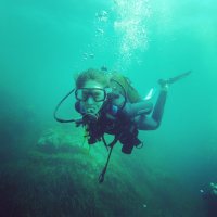 Zoé Delecambre (@zdelecambre) 's Twitter Profile