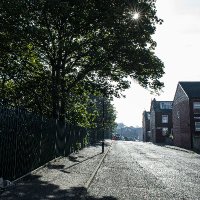 Armley Trees (@armleytrees) 's Twitter Profile