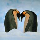 Arup Dhar - @arup1991 - Twitter