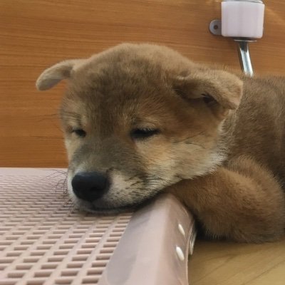 フィロっすさんのプロフィール画像