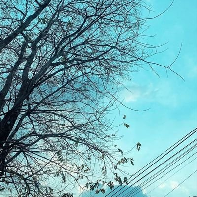 Yoanaagranger's profile picture. Yang kau aamiin-kan selama ini.