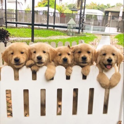 syscall12's profile picture. 