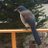 Fedj84971962's profile image