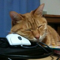 あち🏃🚌三 (@achi_nemui) 's Twitter Profile