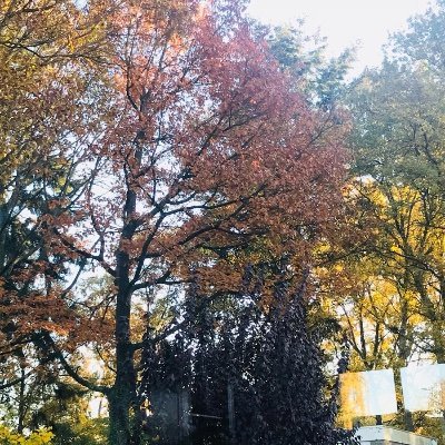 smulders_s's profile picture. 