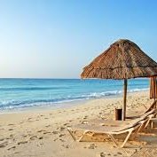 GnosF (@rff2021) 's Twitter Profile