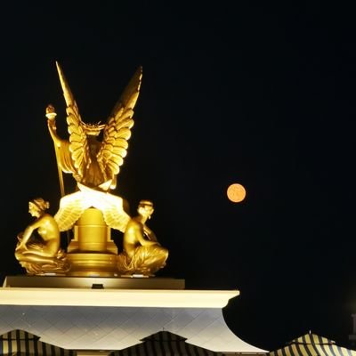 云游四海