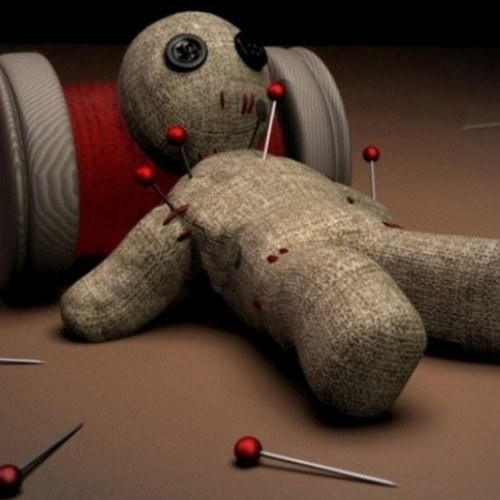 shoeibcn's profile picture. 