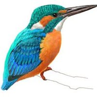 Blauet (@blauetabsolucio) 's Twitter Profile