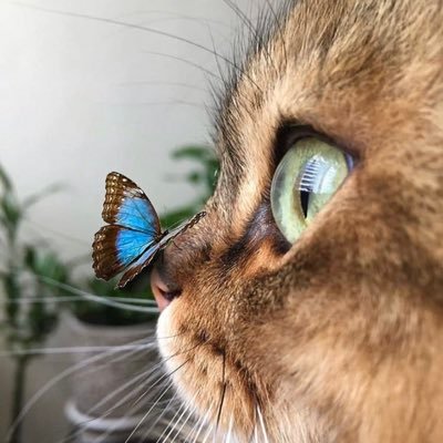 fahch5's profile picture. 