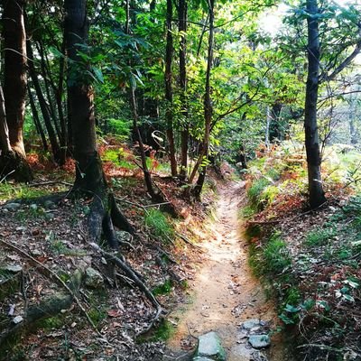 powermax_72's profile picture. 