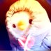 Eden (@thedmvsacc) Twitter profile photo Eden (@thedmvsacc) Twitter profile photo