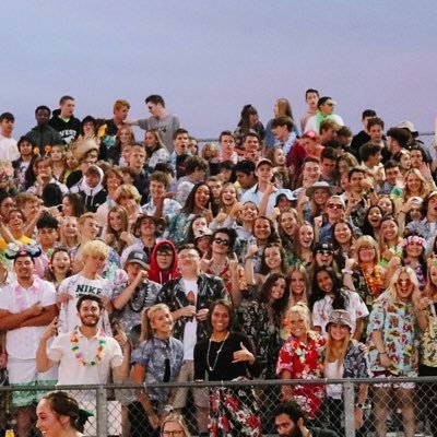 Rowdies main page informing game times, location & themes! WE ARE BORAH! 💛💚🦁 #BORAHBOOM
