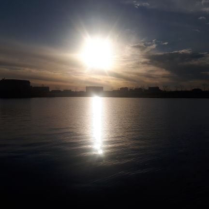 lcouloug's profile picture. 