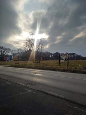 KobeaneJohnny's profile picture. 