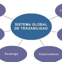 Trazabilidad (@trazaygeotraza) 's Twitter Profile