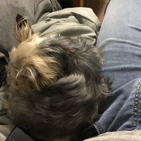 AyoBlue (@ayobluebh) 's Twitter Profile