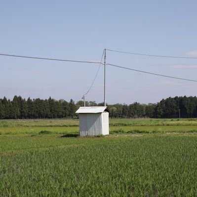 小屋愛好会 
小屋に魅せられ東へ西へ。田畑や漁港の片隅に建っている小屋を求めて彷徨っています。
絵本「うかぶかな？しずむかな？」「おすしやさんにいらっしゃい！生きものが食べものになるまで」（岩崎書店）好評発売中！
お問合せ、お仕事のご依頼はh.endo@endhrs.com まで。