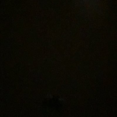 Dirtyglokks's profile picture. P.A Down⬇