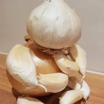 patches65214898's profile picture. 