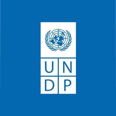 UNDP_Lebanon Profile Picture