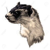 Ferret Head(@ferret_phiz) 's Twitter Profile Photo