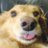 もーりーのアイコン