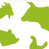 Stock Judge App (@judgestock) 's Twitter Profile