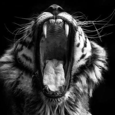 privacy matters. dont sent any requsts i will follow you if we have something in commen