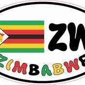 Team Zim(@TeamZim3) 's Twitter Profile Photo