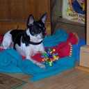 larry congleton - @elseaone - Twitter