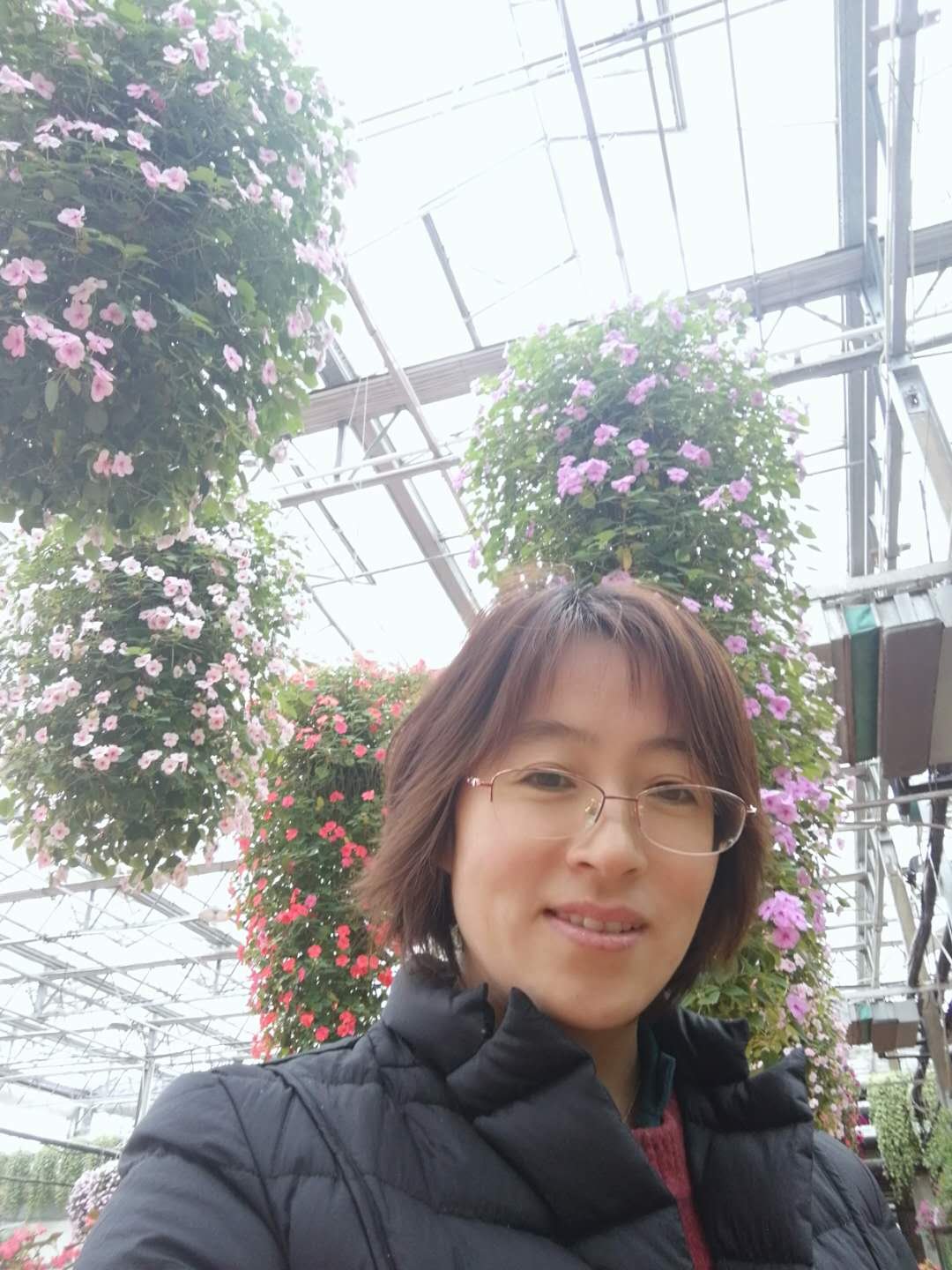 elaine20651809's profile picture. Normal and Nice