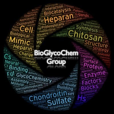 Welcome to the Twitter of the #BioGlycoChem_Group at @IQOG_CSIC. Here we will publish research updates, publications, news... Follow us!!