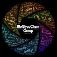 BioGlycoChem_Group (@bioglycochem) 's Twitter Profile