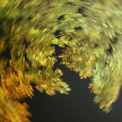 aScrumpet's profile picture. He/him
Otherwise known as Willem
Personification of a RipStik