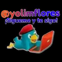 Yolimar Flores(@yolimflores) 's Twitter Profileg