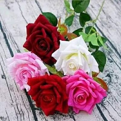 7i0b44fOvrjksUj's profile picture. ‏‏‏من دمشق  عاصمة الياسمين