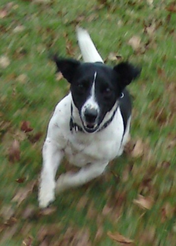 andiweide's profile picture. 