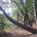 John Tyson - @njt81 - Twitter