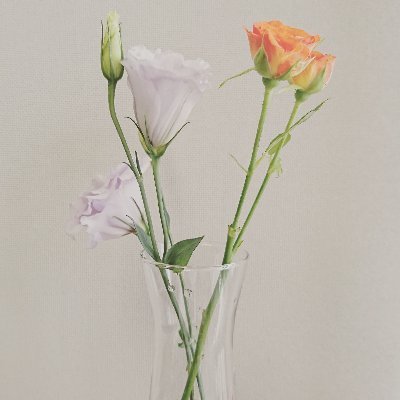 ひまわりさんのプロフィール画像