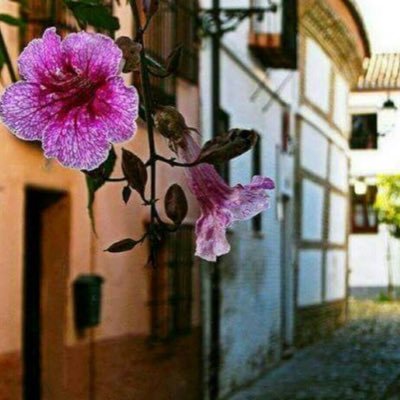 Fajjjr14's profile picture. مسلمة ترجو عفو ربها....! •*إقتباسات راقت لي🌹