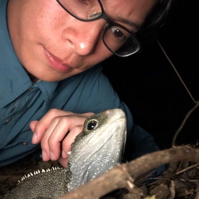 PhD student @HKUniversity | Movement ecology | Behavioural ecology | Herpetology 🐢🦎🐍