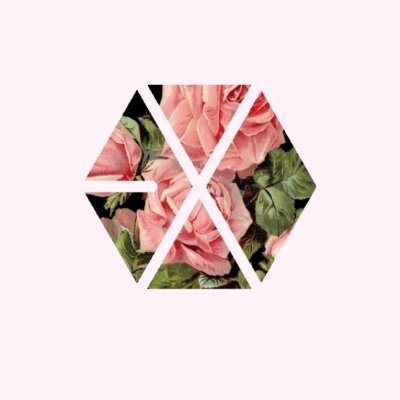 janitamel's profile picture. 